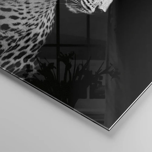 Obraz na skle - Pravý profil perfektní! - 60x60 cm