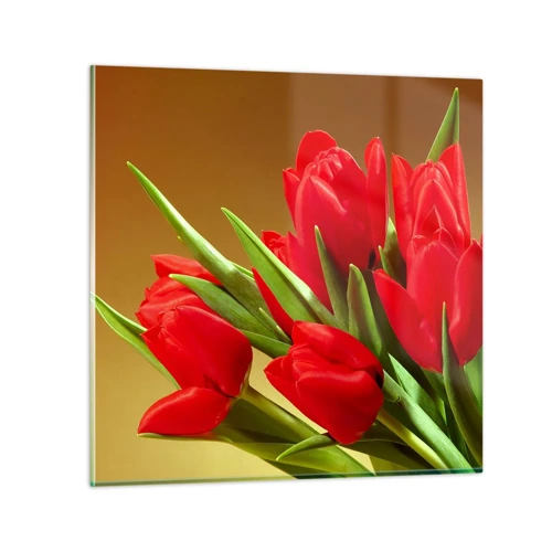 Obraz na skle - Pupen jarní radosti - 70x70 cm