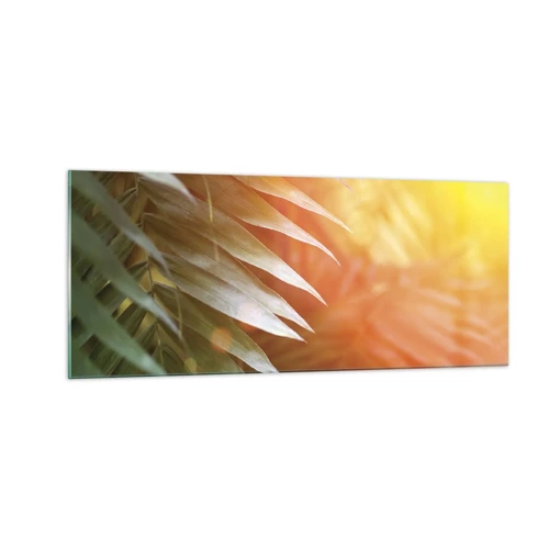 Obraz na skle - Ráno v džungli - 100x40 cm