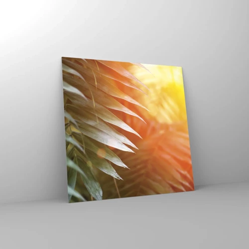 Obraz na skle - Ráno v džungli - 50x50 cm