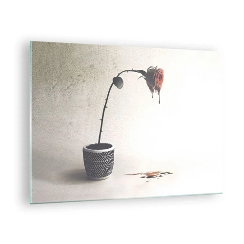 Obraz na skle - Rosa dolorosa - 70x50 cm
