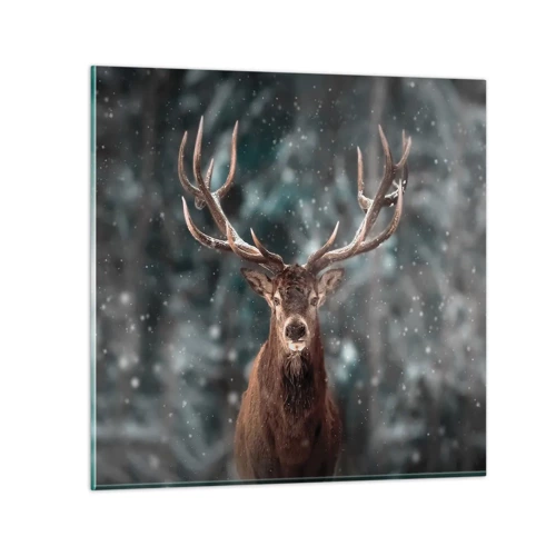 Obraz na skle - Skutečný král lesa - 40x40 cm