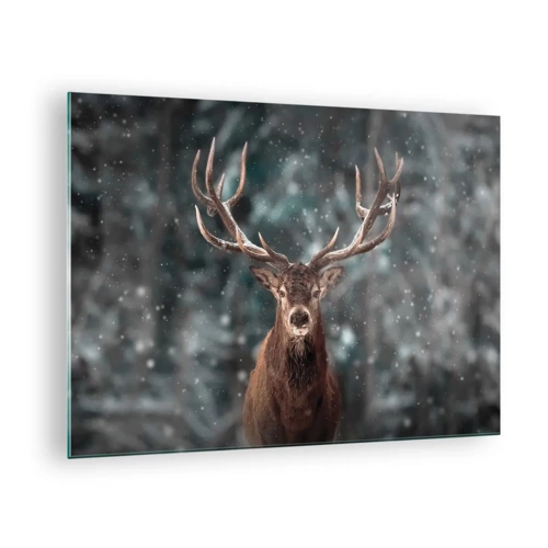Obraz na skle - Skutečný král lesa - 70x50 cm