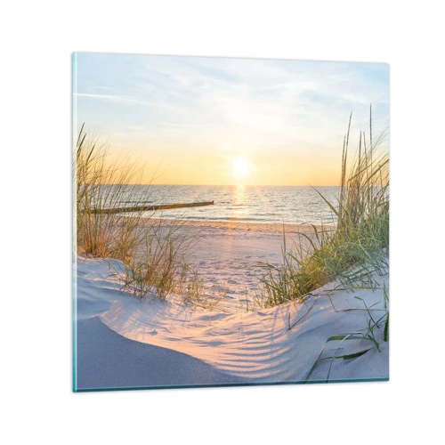 Obraz na skle - Šumění moře, zpěv ptáků, divoká pláž uprostřed trávy… - 50x50 cm