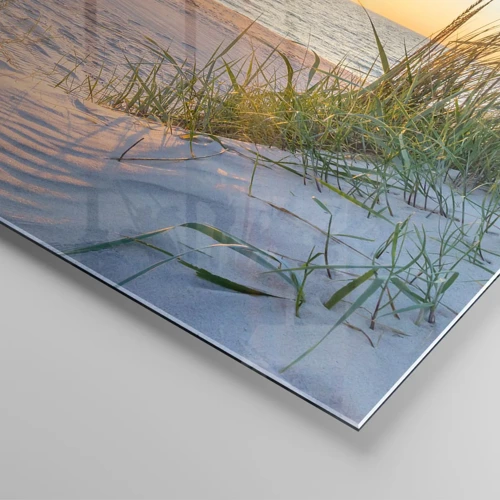Obraz na skle - Šumění moře, zpěv ptáků, divoká pláž uprostřed trávy… - 60x60 cm