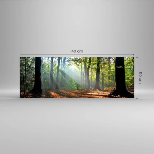 Obraz na skle - Světla a stíny - 140x50 cm