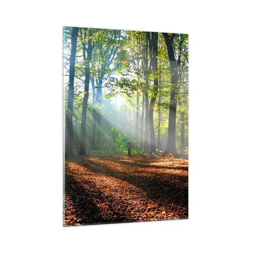 Obraz na skle - Světla a stíny - 50x70 cm