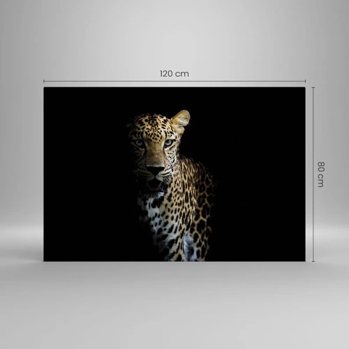 Obraz na skle - Temná krása - 120x80 cm