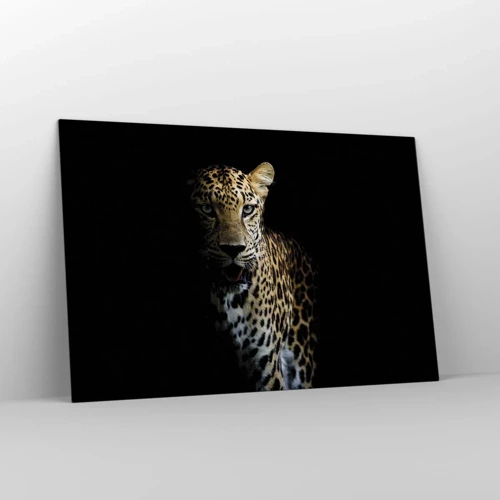 Obraz na skle - Temná krása - 120x80 cm