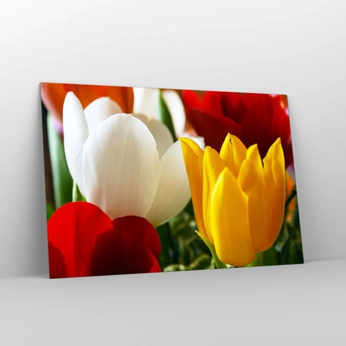 Obraz na skle - Tulipánová horečka - 120x80 cm