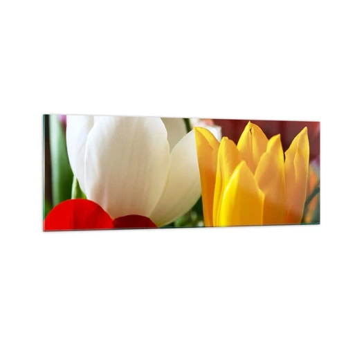 Obraz na skle - Tulipánová horečka - 140x50 cm
