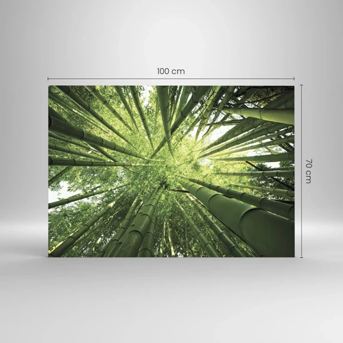 Obraz na skle - V bambusovém háji - 100x70 cm