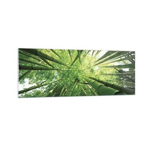 Obraz na skle - V bambusovém háji - 140x50 cm