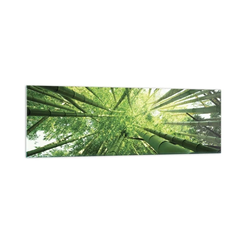 Obraz na skle - V bambusovém háji - 160x50 cm