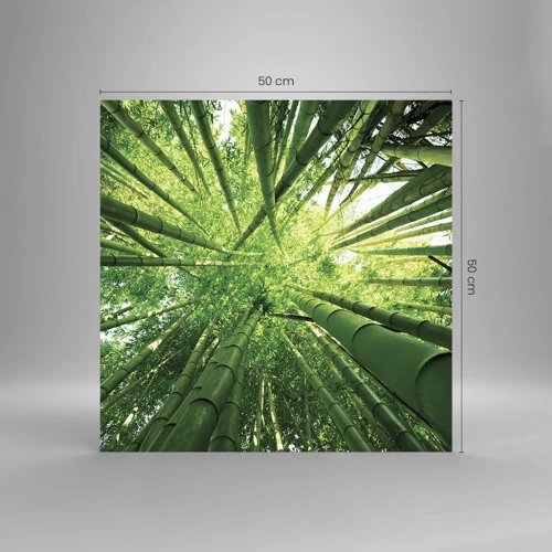 Obraz na skle - V bambusovém háji - 50x50 cm