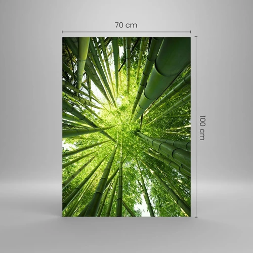 Obraz na skle - V bambusovém háji - 70x100 cm