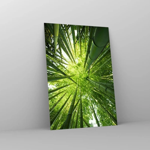Obraz na skle - V bambusovém háji - 70x100 cm