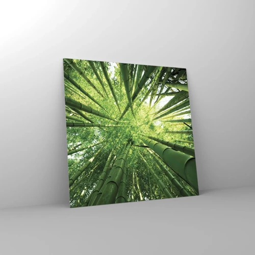 Obraz na skle - V bambusovém háji - 70x70 cm