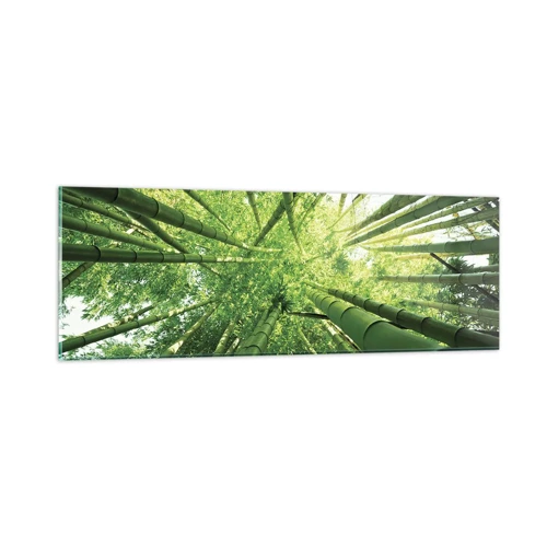 Obraz na skle - V bambusovém háji - 90x30 cm