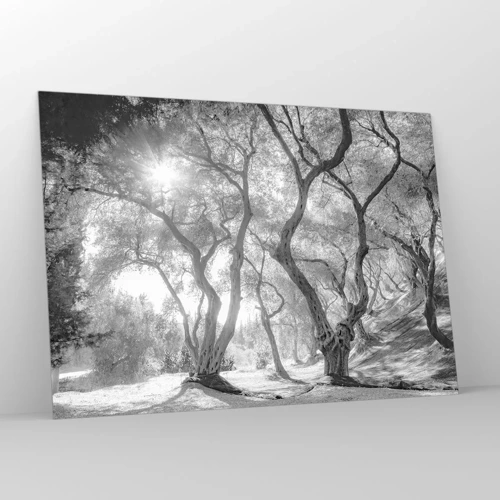 Obraz na skle - V olivovém háji - 100x70 cm