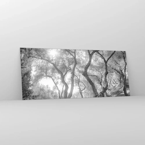 Obraz na skle - V olivovém háji - 120x50 cm