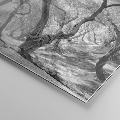 Obraz na skle - V olivovém háji - 120x80 cm