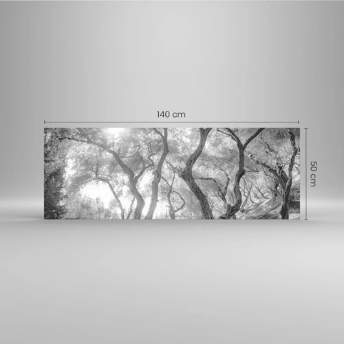 Obraz na skle - V olivovém háji - 140x50 cm