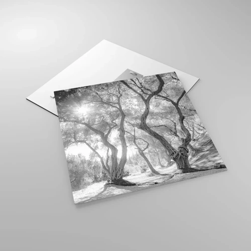 Obraz na skle - V olivovém háji - 50x50 cm
