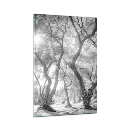 Obraz na skle - V olivovém háji - 80x120 cm