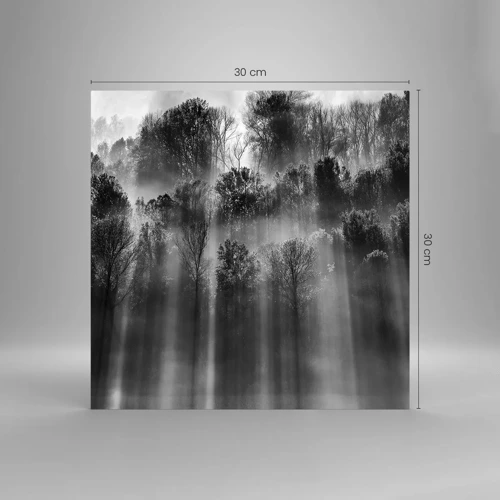 Obraz na skle - V paprscích světla - 30x30 cm
