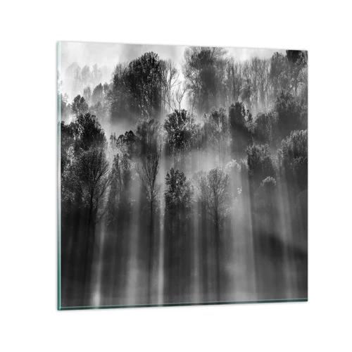 Obraz na skle - V paprscích světla - 50x50 cm