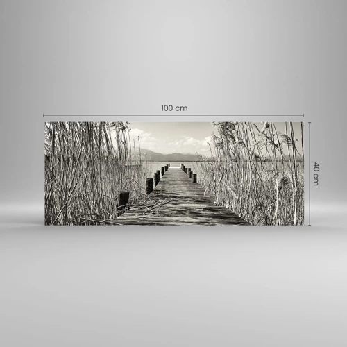 Obraz na skle - V ústraní travin - 100x40 cm