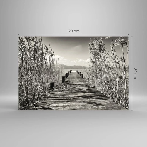 Obraz na skle - V ústraní travin - 120x80 cm