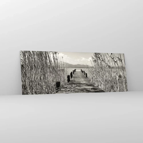 Obraz na skle - V ústraní travin - 140x50 cm
