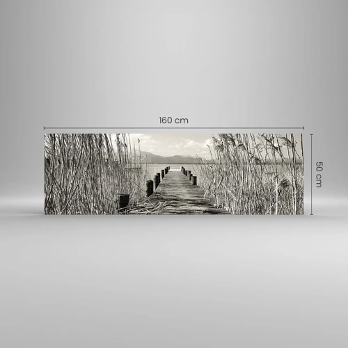 Obraz na skle - V ústraní travin - 160x50 cm