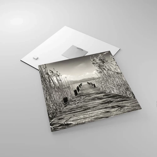 Obraz na skle - V ústraní travin - 30x30 cm