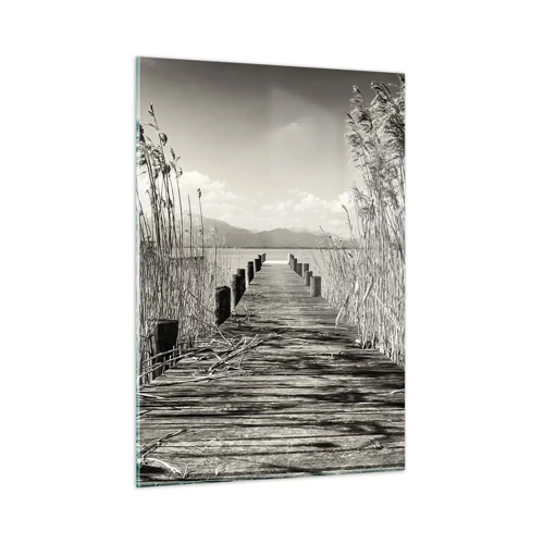 Obraz na skle - V ústraní travin - 50x70 cm