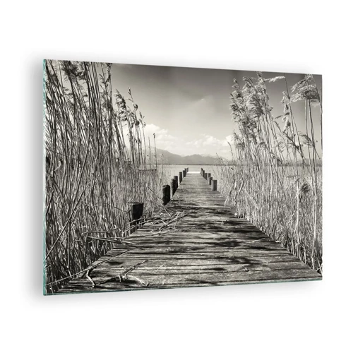Obraz na skle - V ústraní travin - 70x50 cm