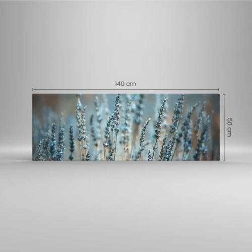 Obraz na skle - Voňavý lán - 140x50 cm