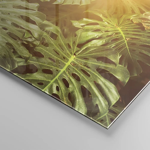 Obraz na skle - Vstoupit do zeleně… - 100x40 cm