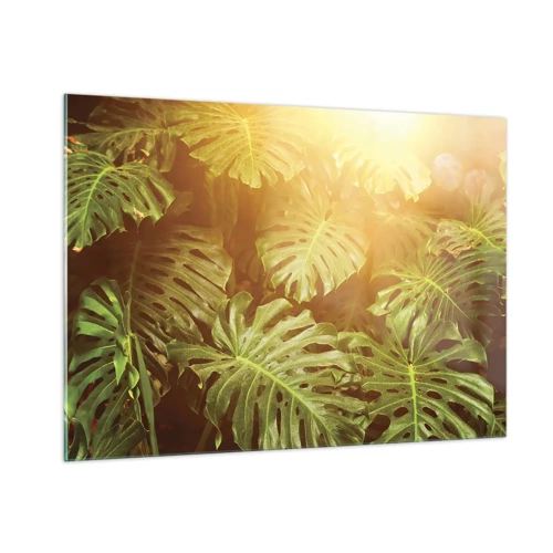 Obraz na skle - Vstoupit do zeleně… - 100x70 cm