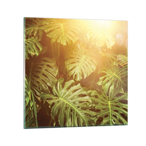 Obraz na skle - Vstoupit do zeleně… - 60x60 cm