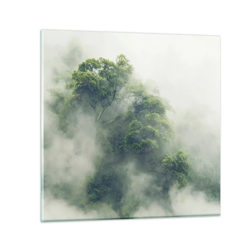 Obraz na skle - Zahalené mlhou - 60x60 cm