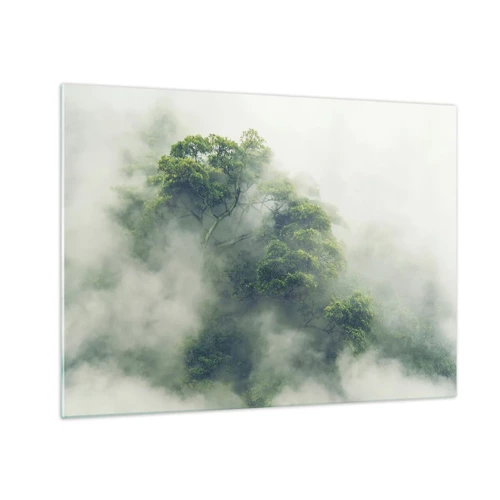 Obraz na skle - Zahalené mlhou - 70x50 cm