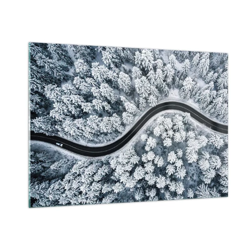 Obraz na skle - Zimním lesem - 100x70 cm