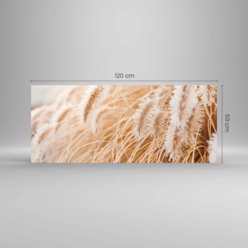 Obraz na skle - Zlaté šustění travin - 120x50 cm