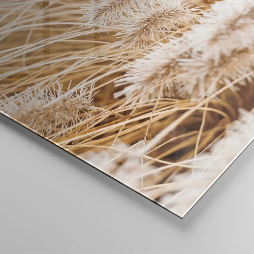 Obraz na skle - Zlaté šustění travin - 120x50 cm