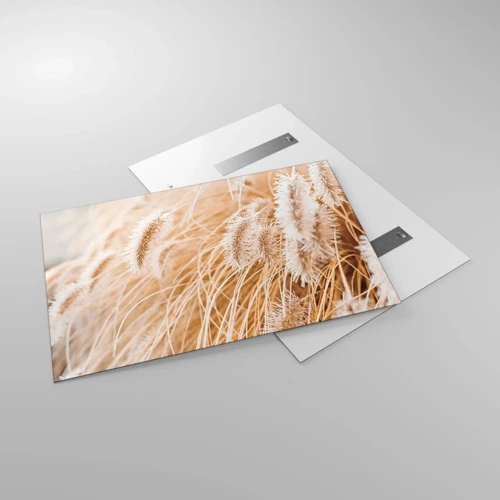 Obraz na skle - Zlaté šustění travin - 120x80 cm