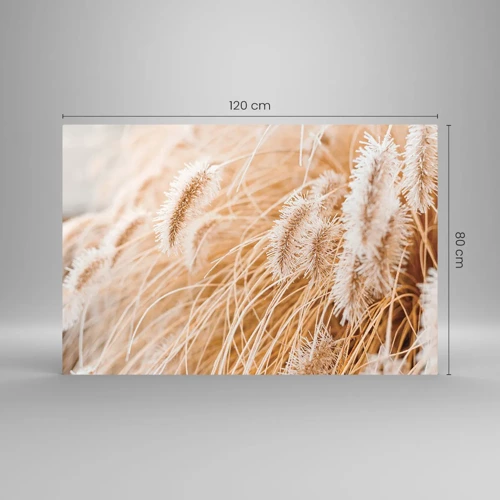Obraz na skle - Zlaté šustění travin - 120x80 cm
