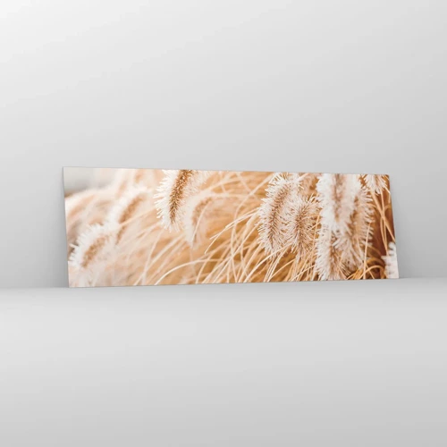 Obraz na skle - Zlaté šustění travin - 160x50 cm